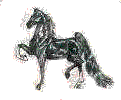5-Gaited Horse (3045 bytes)
