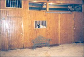 Peavine Creek Stables' Hallway (11,523 bytes)