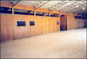 Peavine Creek Stables' Hallway (11,839 bytes)