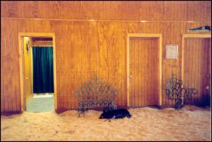 Peavine Creek Stables' Hallway (12310 bytes)