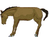Horse Kicking (18,076 bytes)