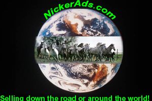 Nicker Ads. Com