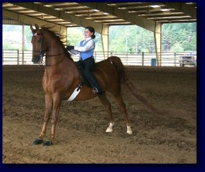 Maria Rogers & Uptown Merchant