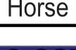 Welcome to Peavine Creek Farm and Stables!