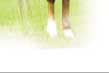 Welcome to Peavine Creek Farm and Stables!