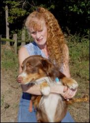 Australian Cattle Dog  Puppies Mom