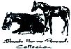Black Horse Ranch Model Horses Logo (1968 bytes)