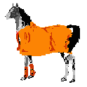 blanketed horse (2313 bytes)