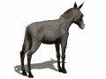 donkey bucking (7587 bytes)