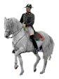 Dressage horse (57,306 bytes)