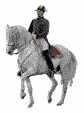 Dressage horse (42,767 bytes)