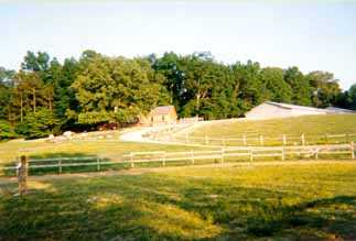 Peavine Creek Saddlebred Farm Grounds(10,696 bytes)