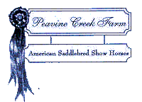 Peavine Creek Farm - American Saddlebred Horses (5090 bytes)
