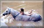 Peavine Creek Equine Water Sports (2984 bytes)