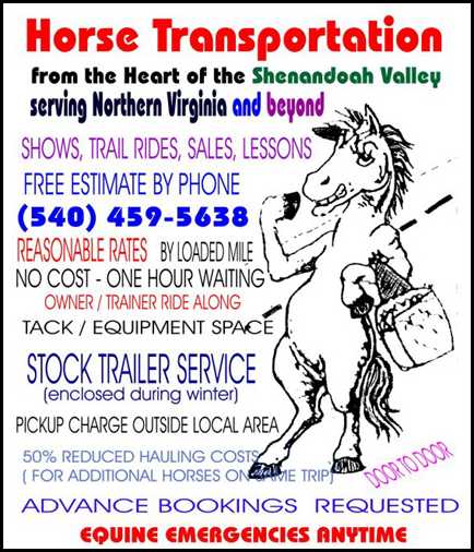 Horse Transportation