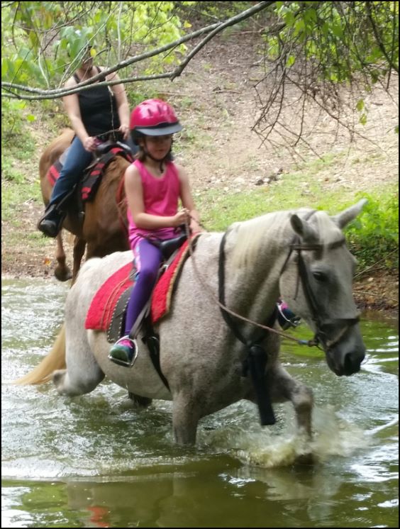 Trail Rides at Peavine Creek Farm