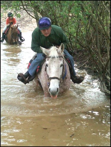 Trail Riders at Peavine Creek Farm