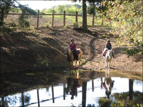 Trail Riders at Peavine Creek