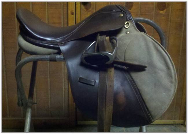 Huntseat Jumping Saddle for Sale