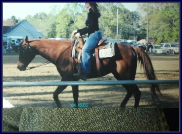 AQHA Mare for sale