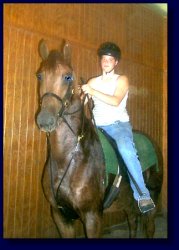 Copper, American Saddlebred Pleasure/Academy or Superior Lesson Horse