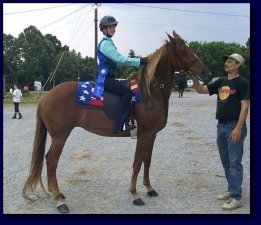 The System's Wings w/new owner Courtney Bowers!