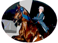 Horse Shows (8715 bytes)