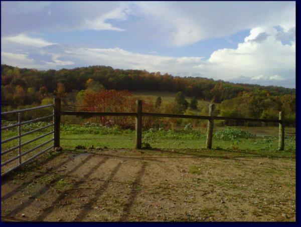 A view from the farm.