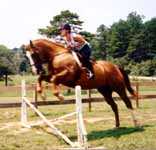 Jumping at Peavine Creek's Riding Camp Program (4997 bytes)