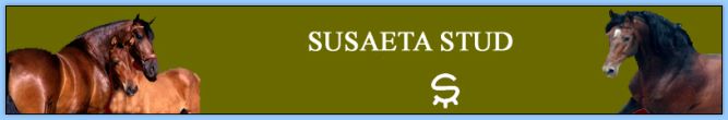 Susaeta Stud Farm