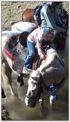 Trail Riders at Peavine Creek Farm and Stables