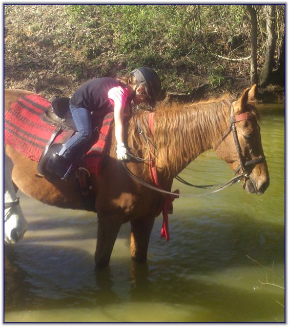 Trail Rides at Peavine Creek Farm