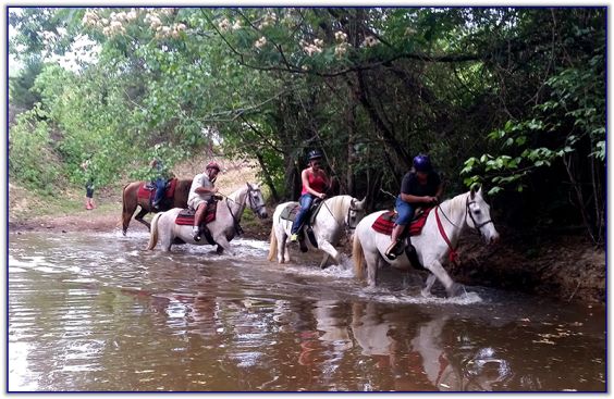 Trail Rides at Peavine Creek Farm