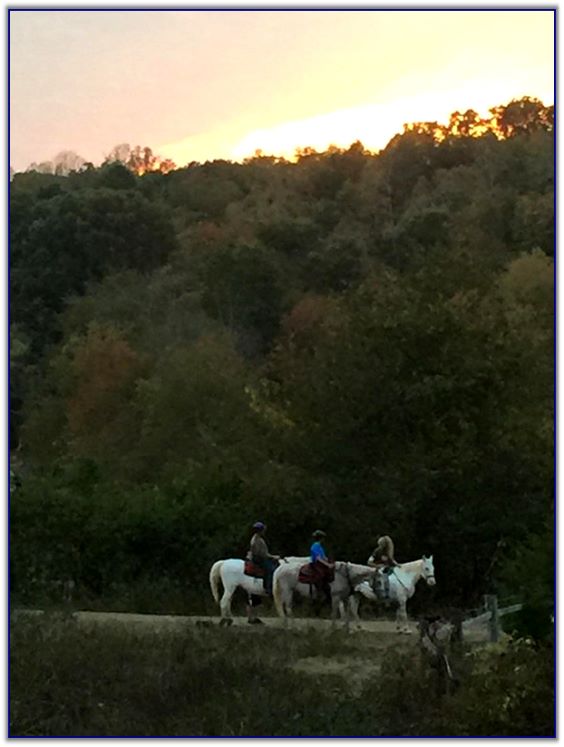 Trail Rides at Peavine Creek Farm