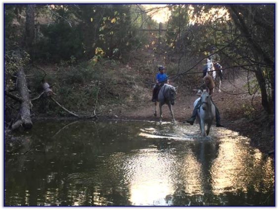 Trail Rides at Peavine Creek Farm